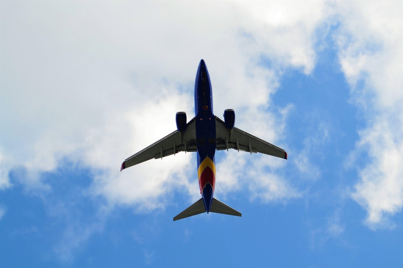 Stress-Free Airport Transfers Flight tracking